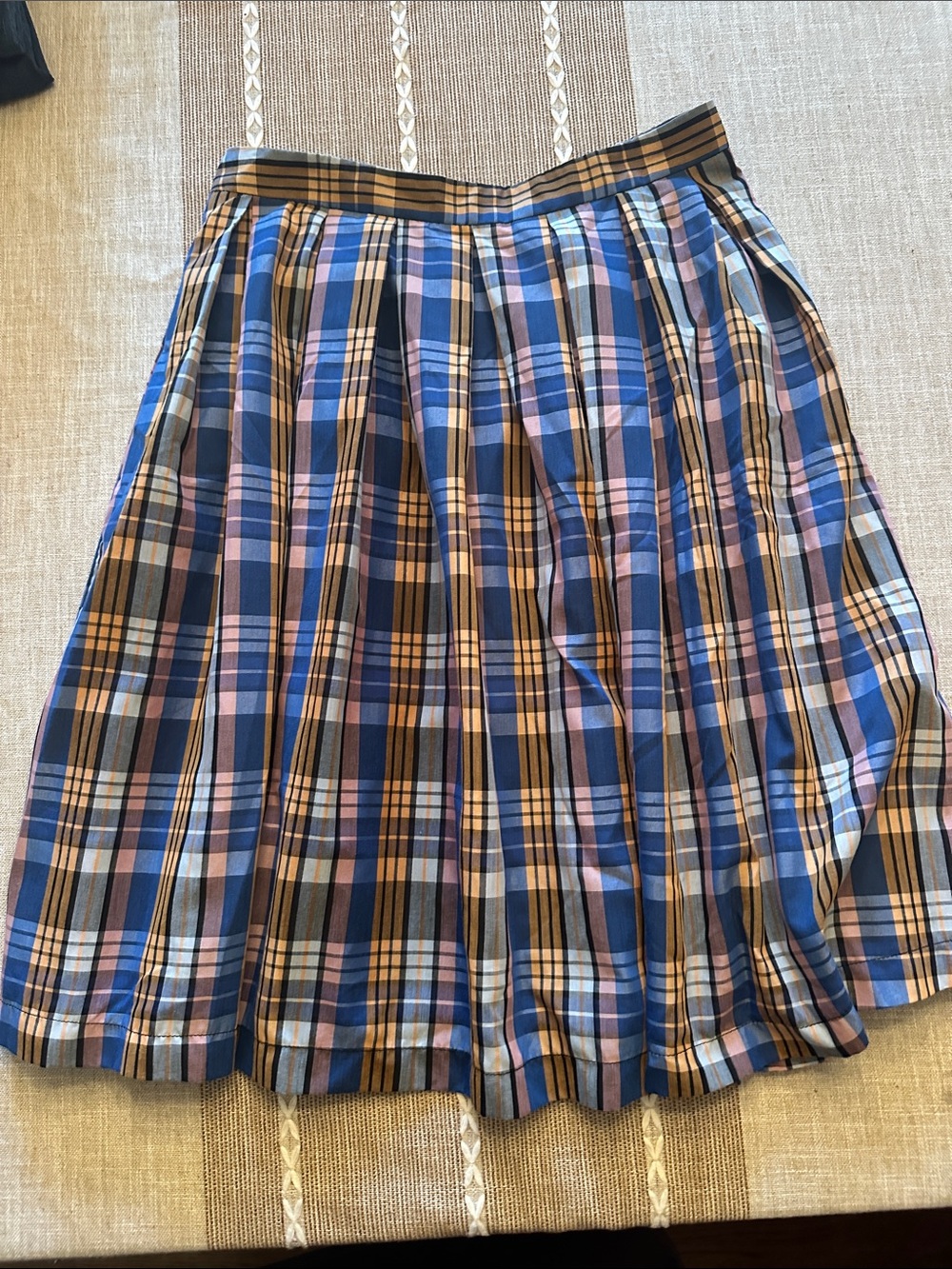 Esley Blue and Pink Plaid Pleated Skirt